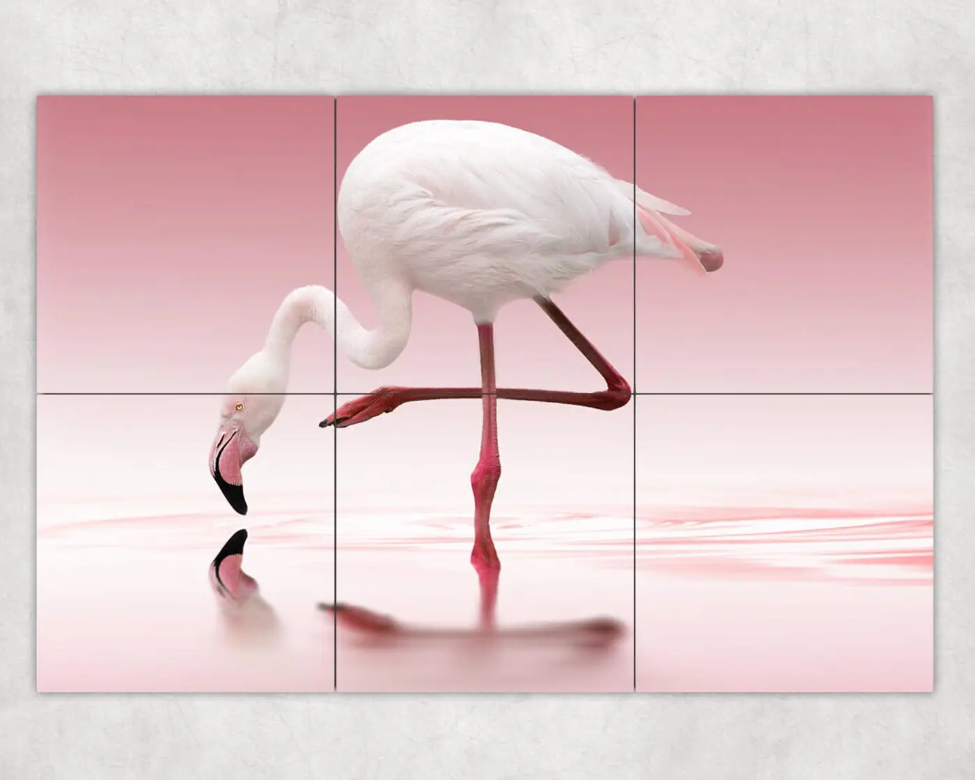 White Flamingo in Pink Tropical Beach