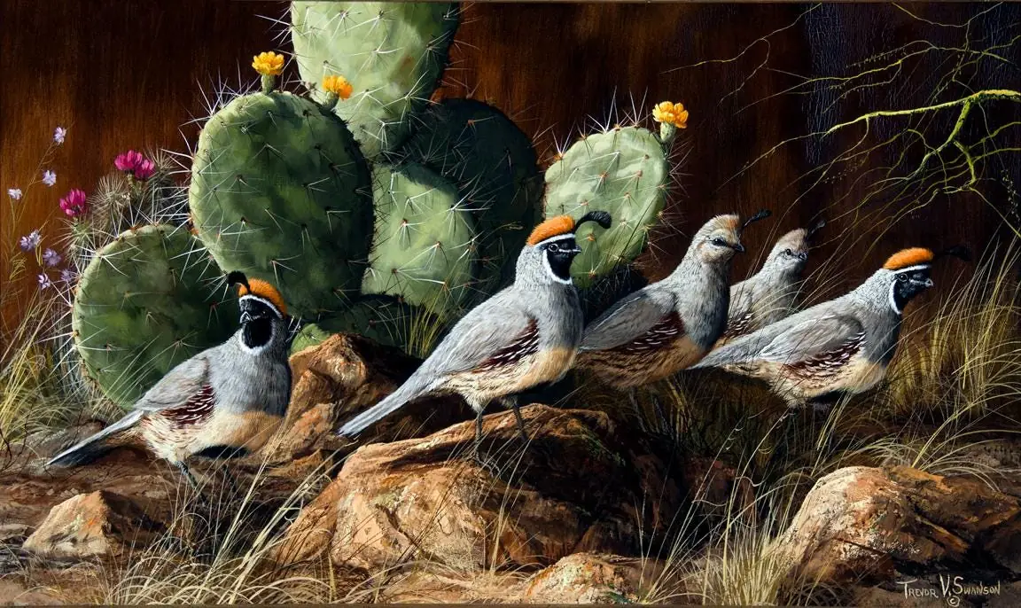 Quails in Blooming Desert Cactus Flower Garden Wildlife