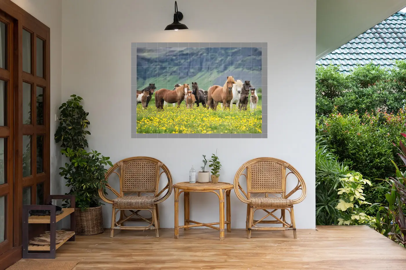 Icelandic Horses, Photo 4