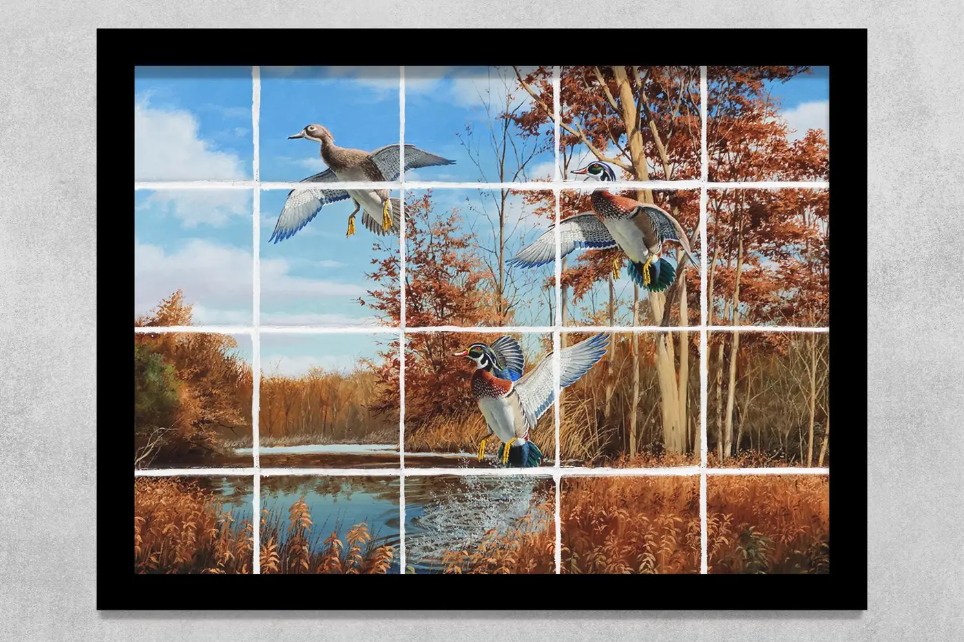 Colorful Wood Ducks, Marsh