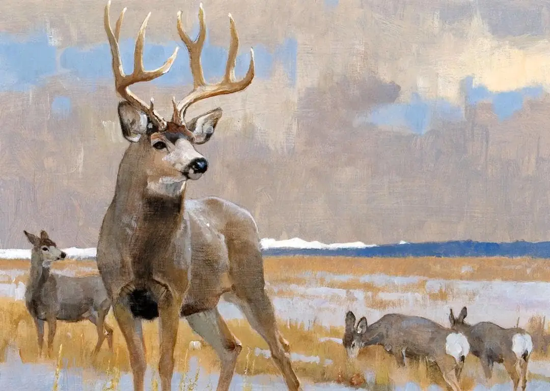 Mule Deer on Gray Day