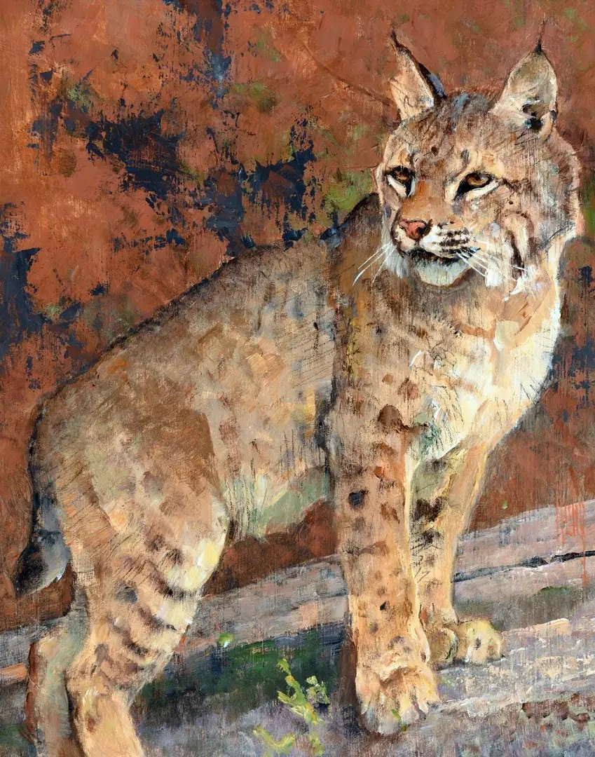 Bobcat, Watchful Eyes ceramic tile mural