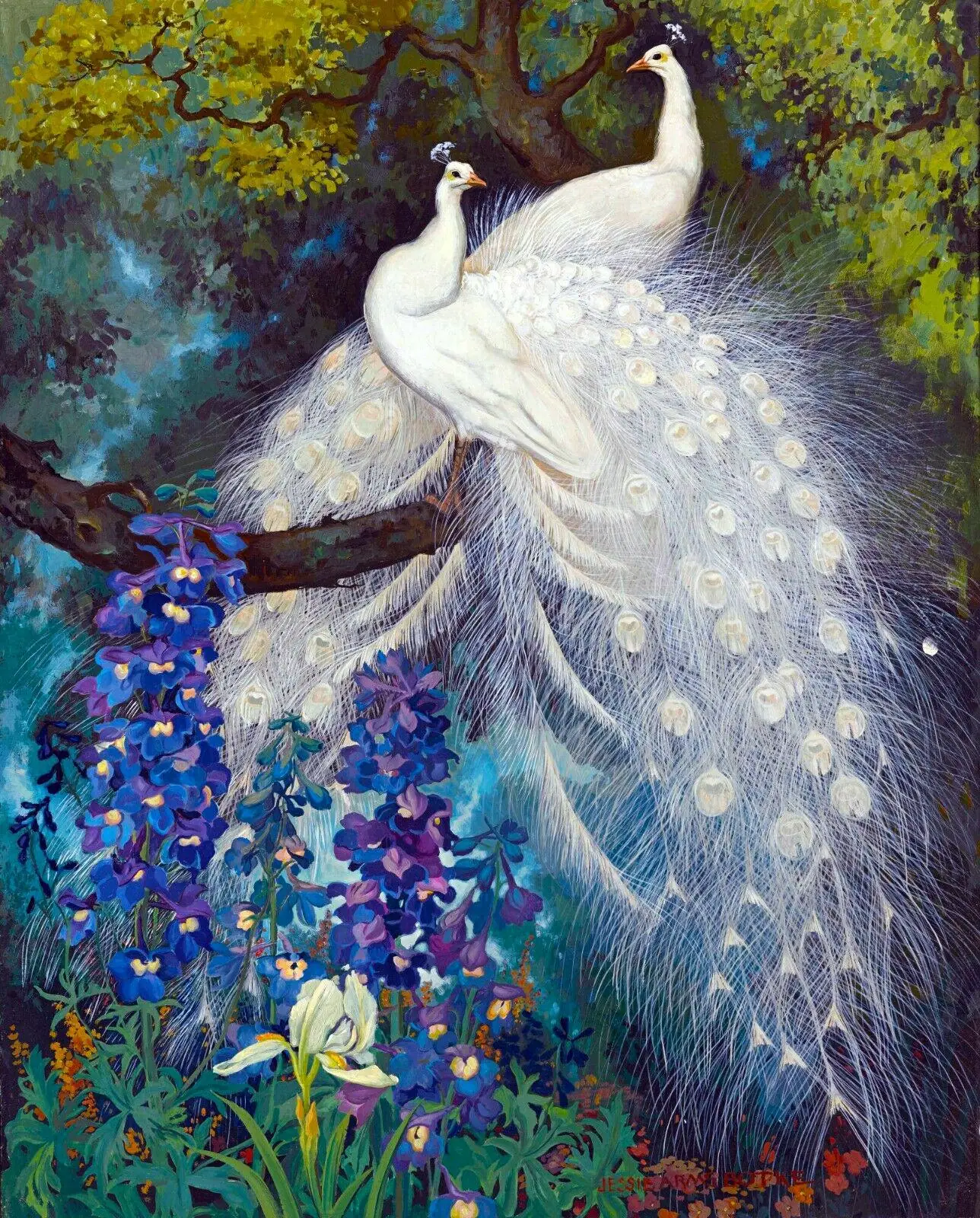 White Peacocks and Blue Delphinium Flower Garden