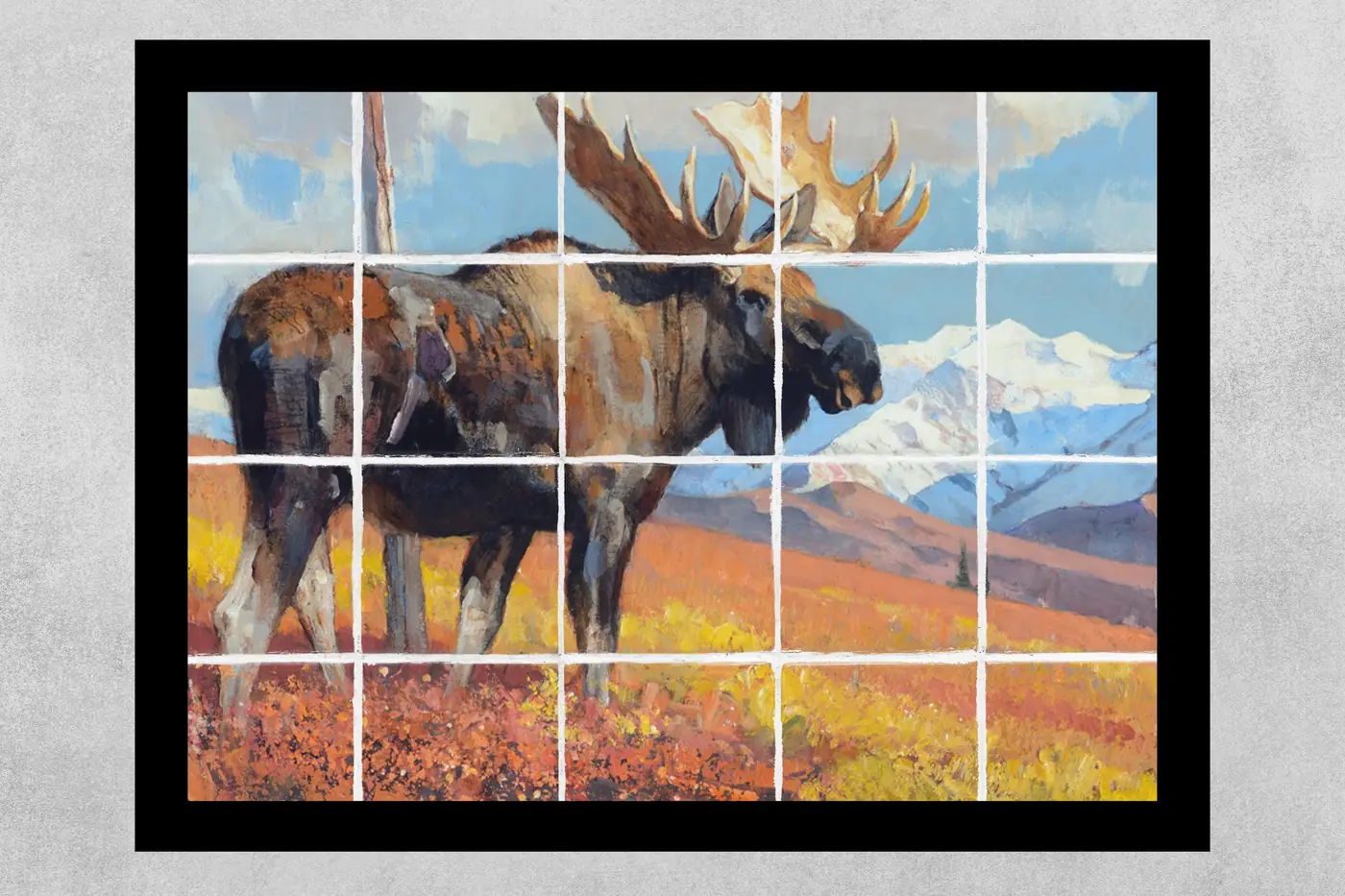 Big Country Moose in Woodland