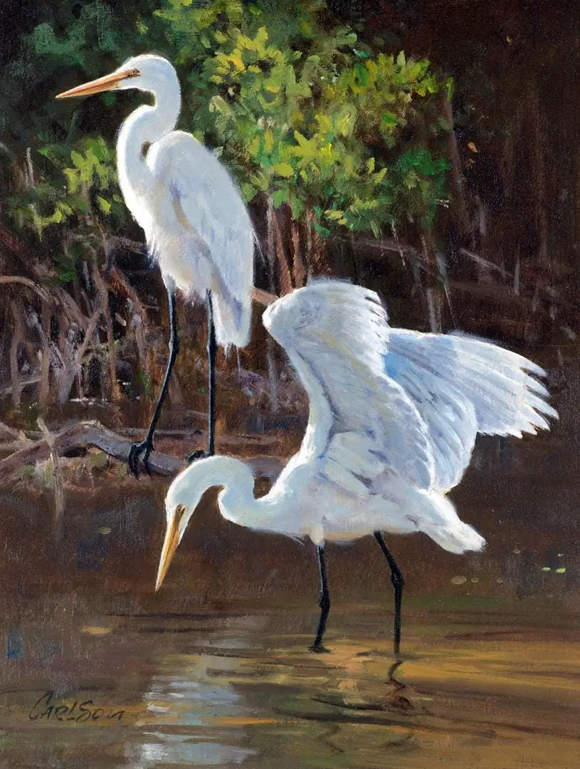 On the Coast Great Egrets Birds