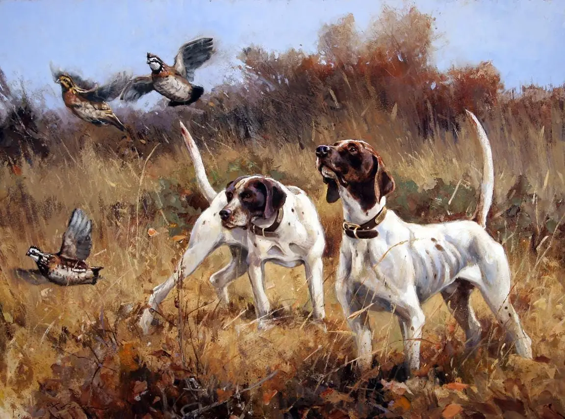 Hunting Dogs, Pointers, Quails