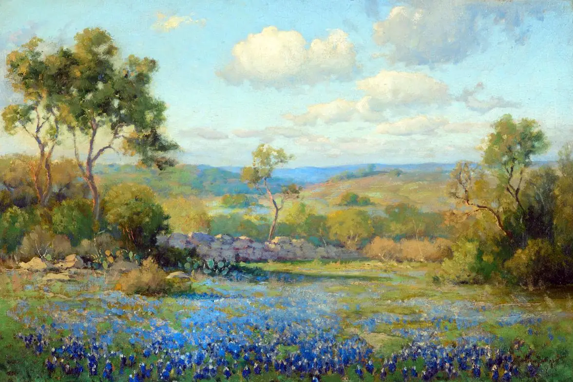 Texas Hill Country with Bluebonnets
