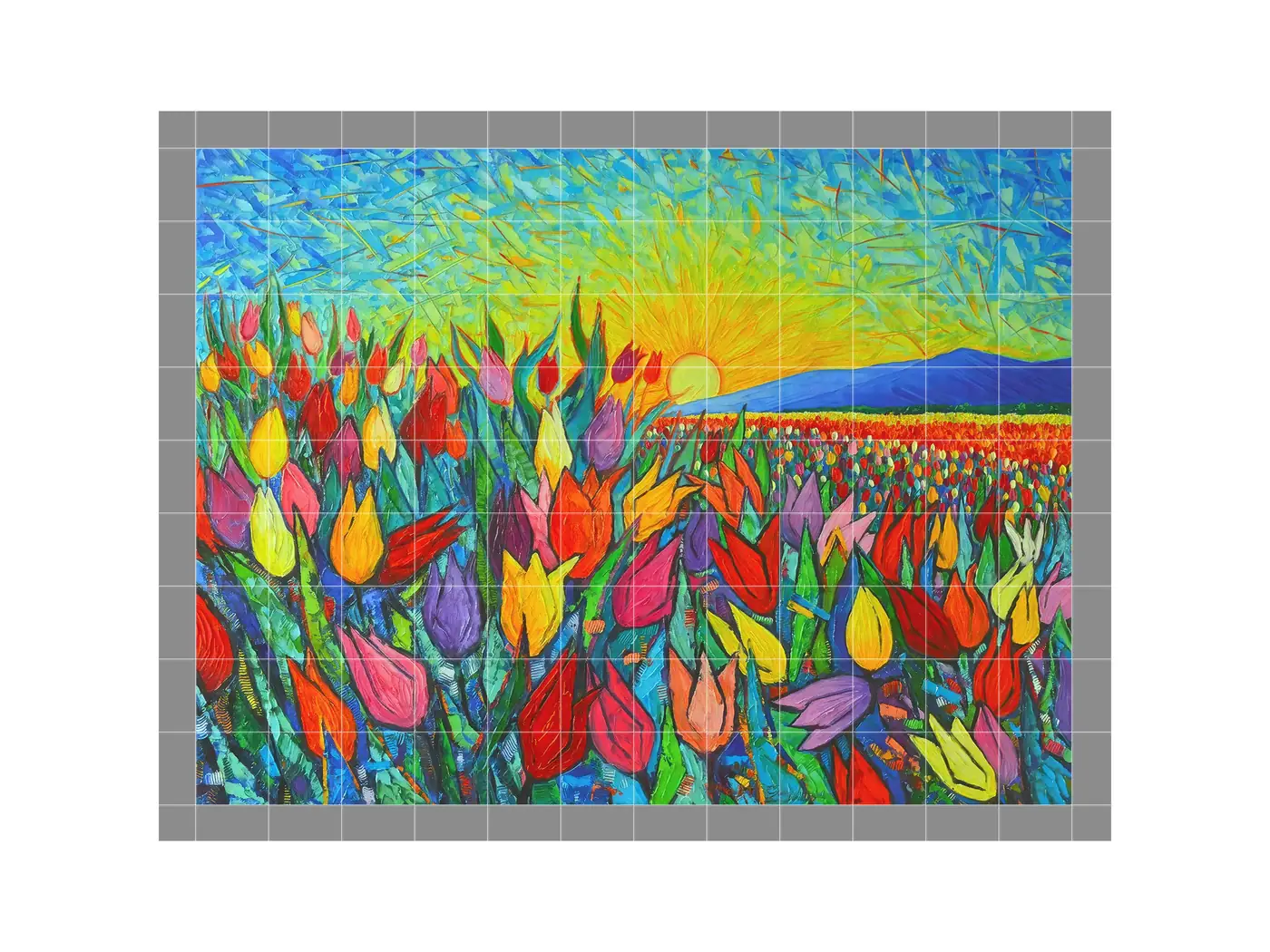 Tulips Flower Garden Field Sunrise