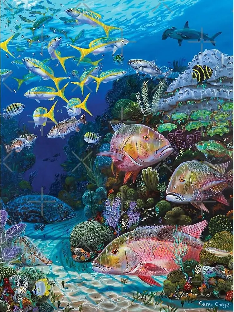 Mutton Snapper Tropical Fish in Reef