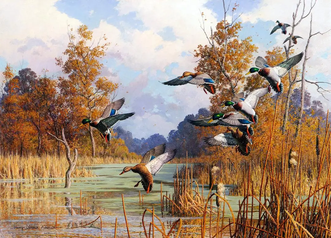 Autumn Sorcery Mallards
