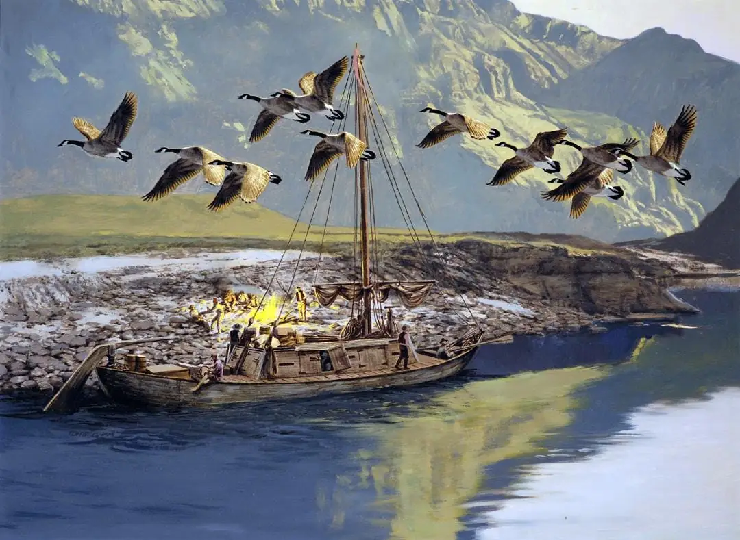 Boat and Canadian Geese