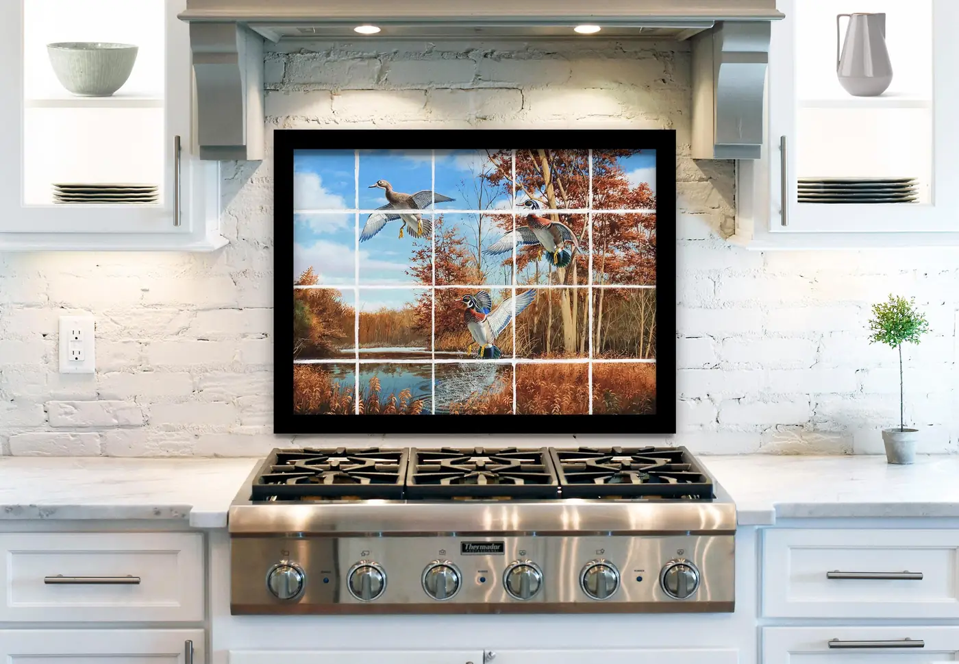 Colorful Wood Ducks, Marsh installed