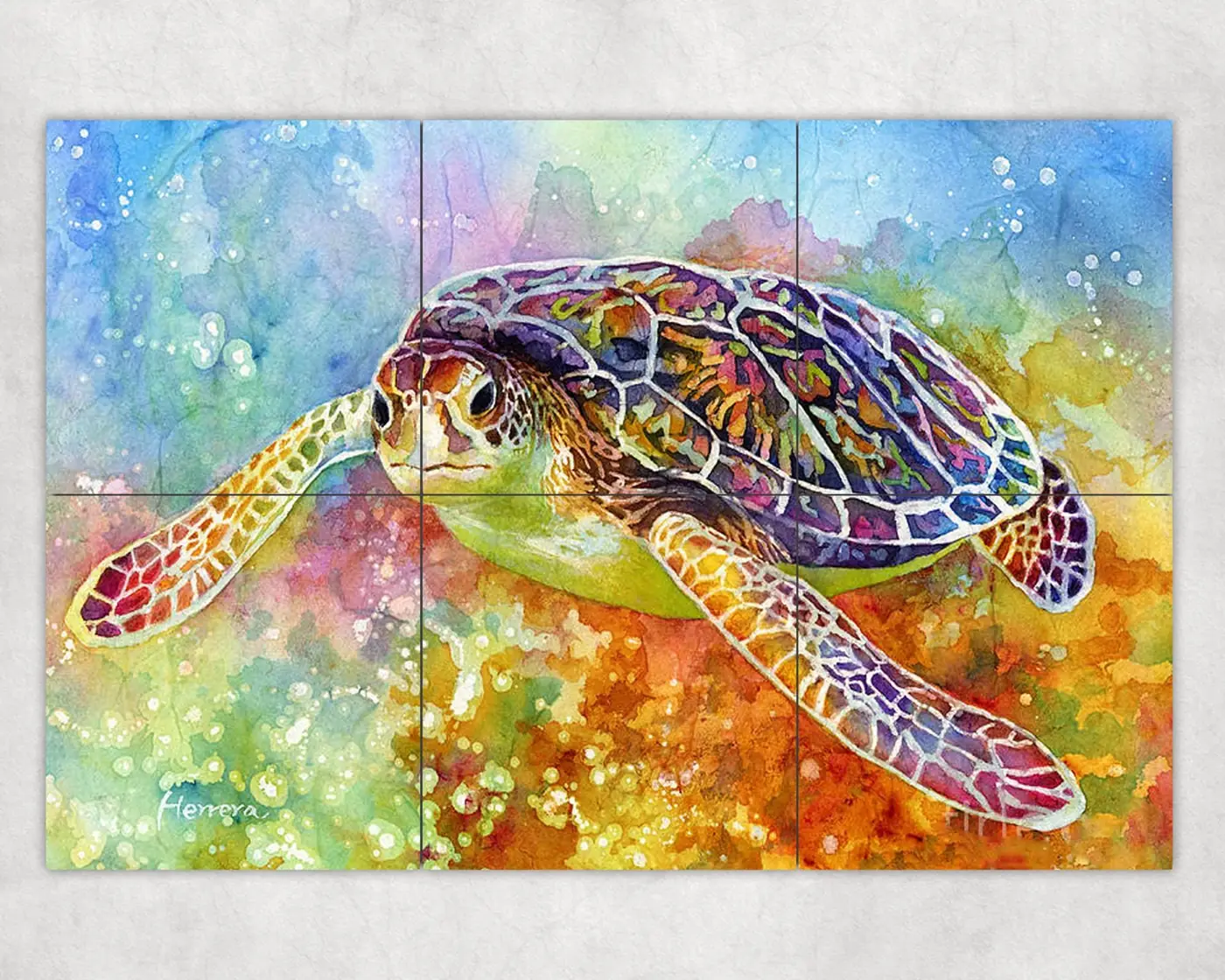 Sea Turtle, Tropical Fish