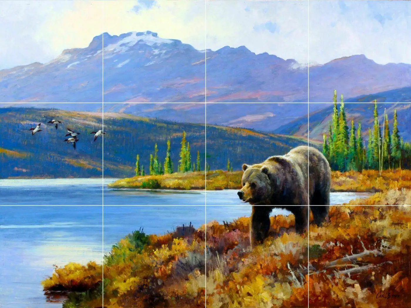 Grizzly Bear Tundra Lake Wildlife Outdoor