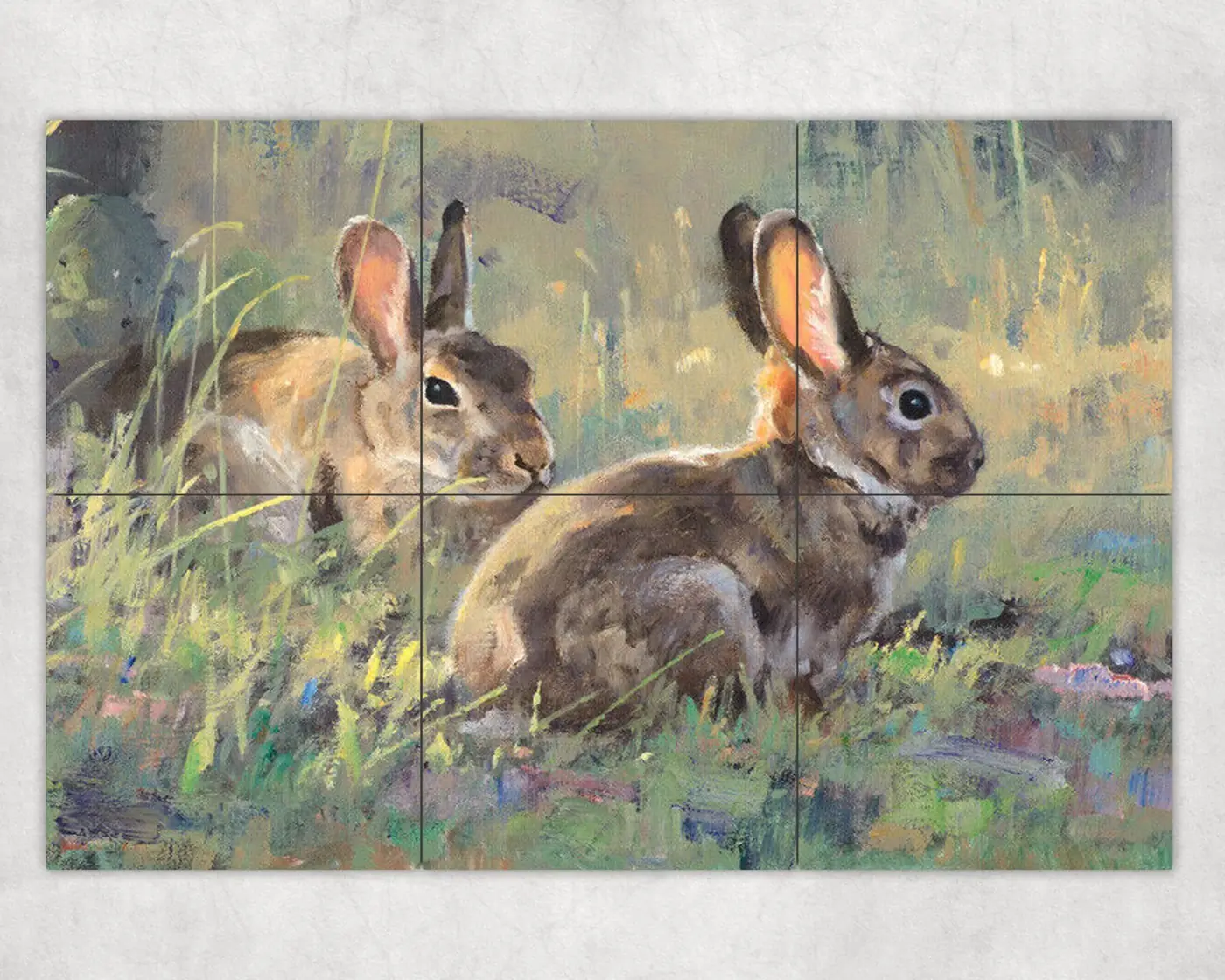 Rabbits in Morning Sun