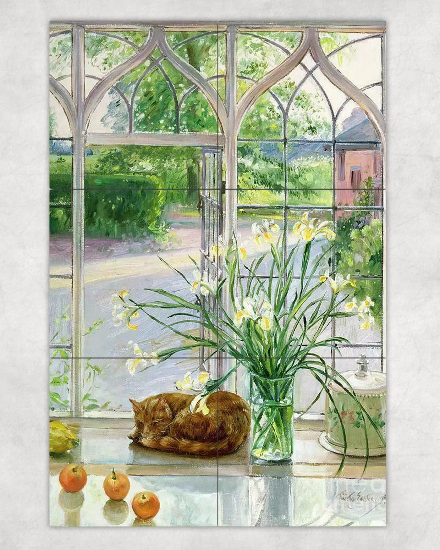 Iris and Sleeping Cat on Window Pane