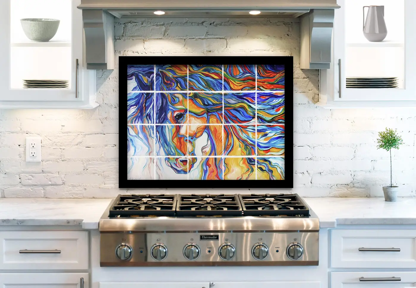 Wild Stallion Southwest installed