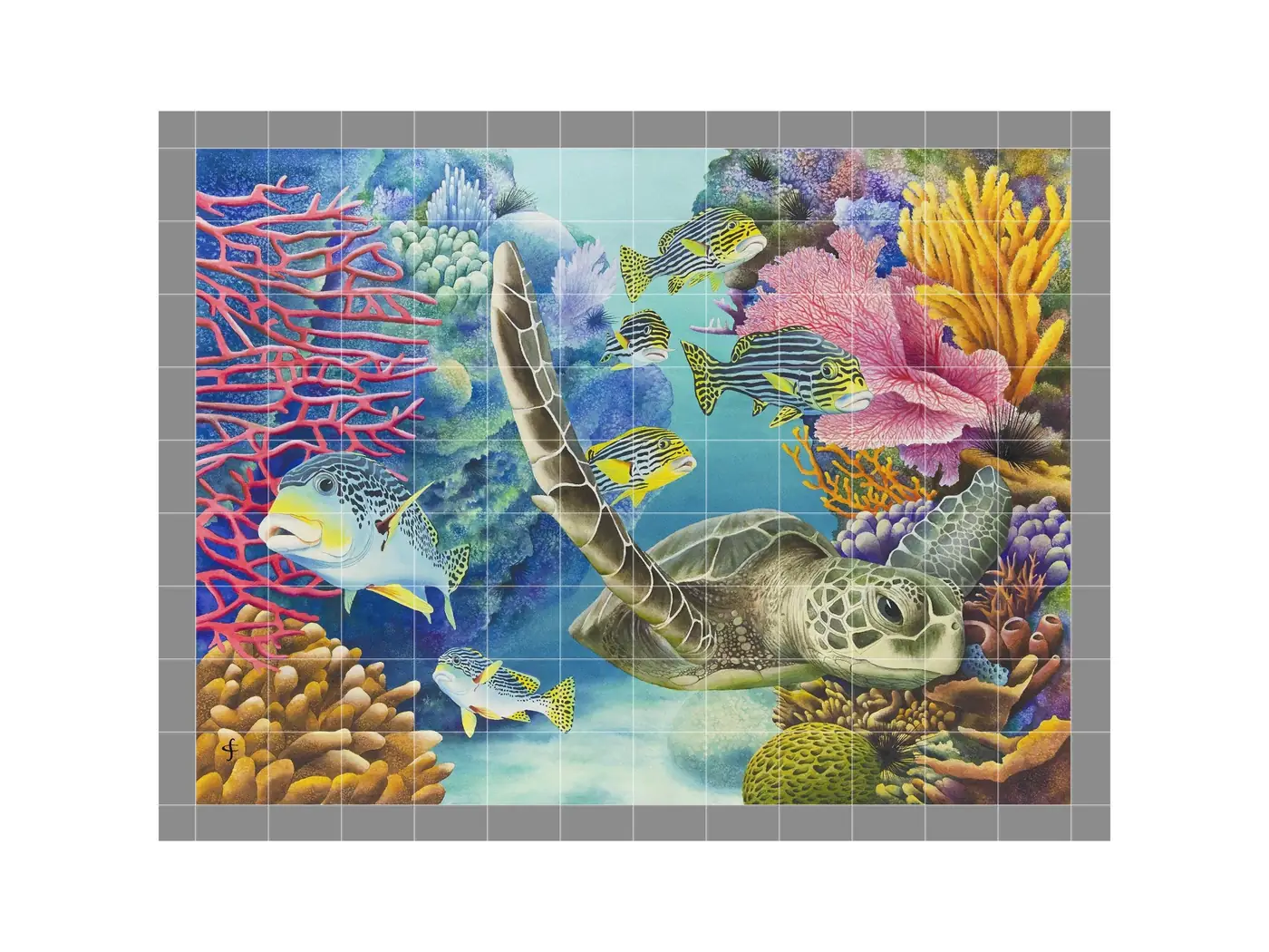 Sea Turtle Reef Tropical Fish
