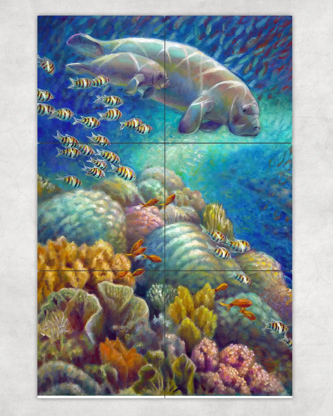 Manatee Family Tropical Fish