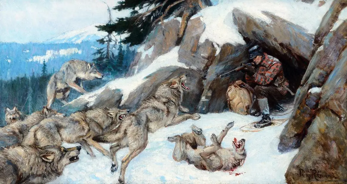 Wolf Attack by Goodwin Philip