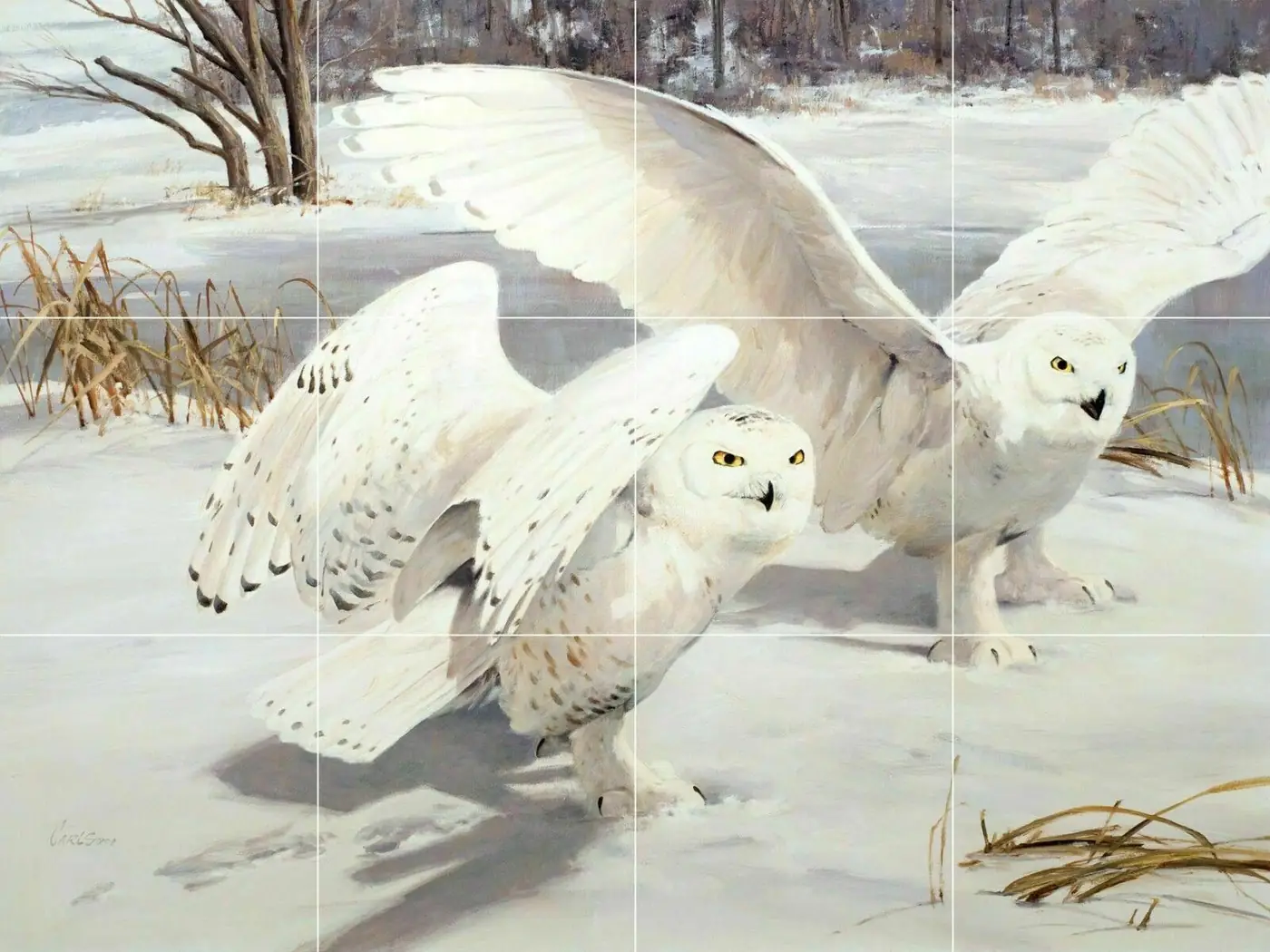 Snowy White Owls in Snowy Landscape