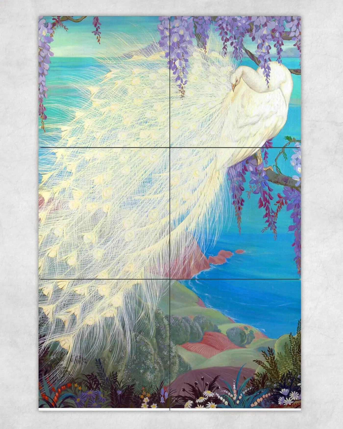 White Peacock and Wisteria Exotic Birds Garden