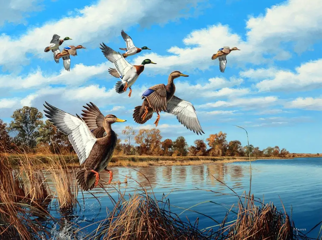 Black Ducks and Mallards in Marsh ceramic tile mural