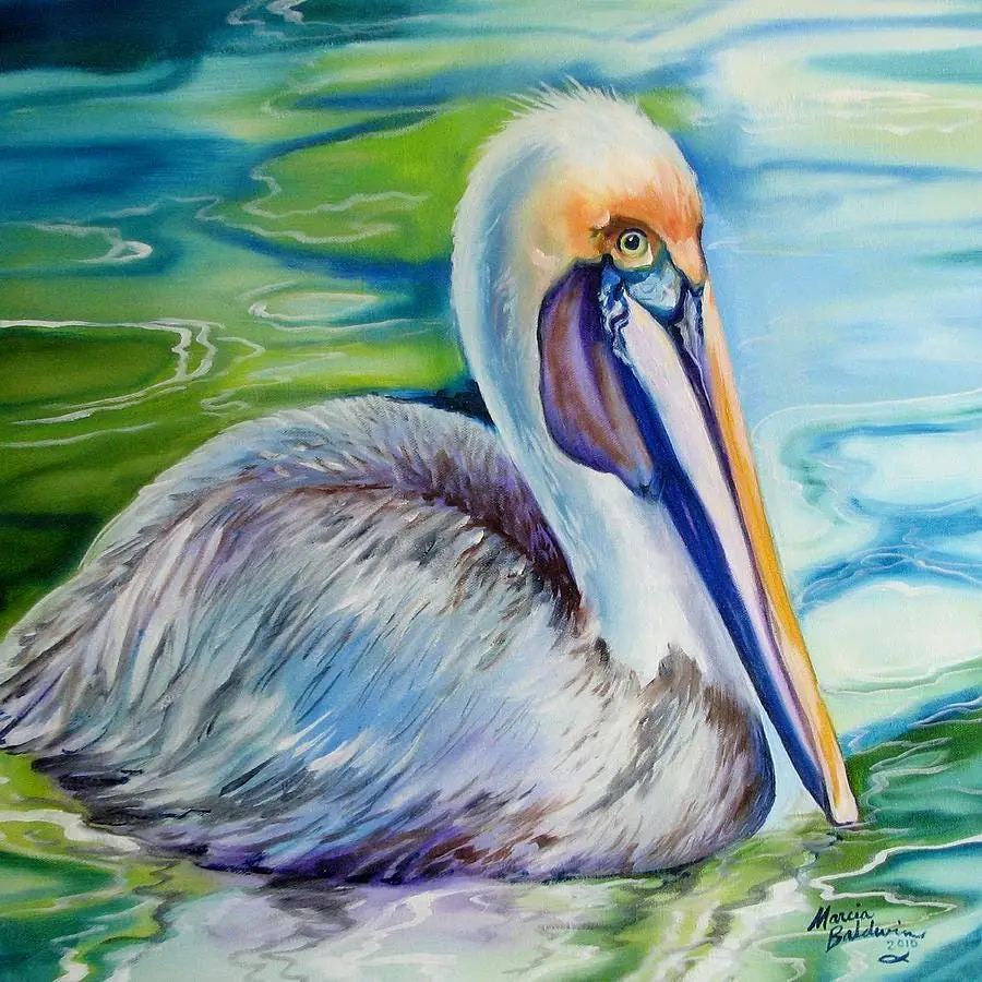 Brown Pelican of Louisiana