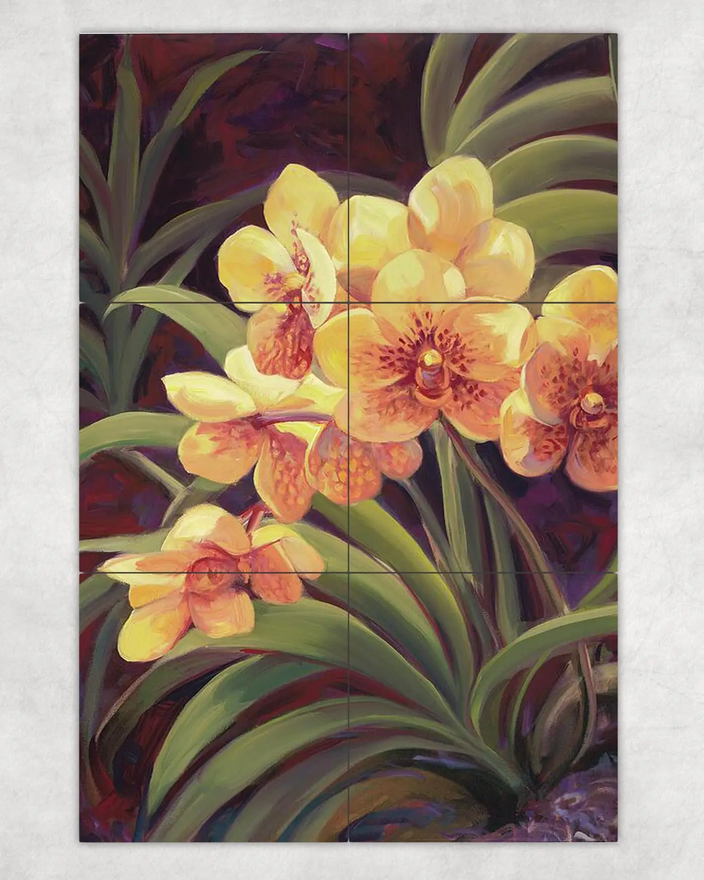Yellow Orchids Flower Garden