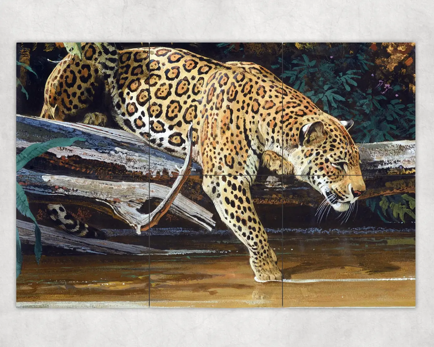 Leopard Touching the Morning Sun