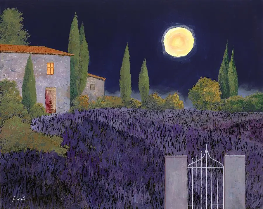 Lavender Field at Night Tuscany Italy