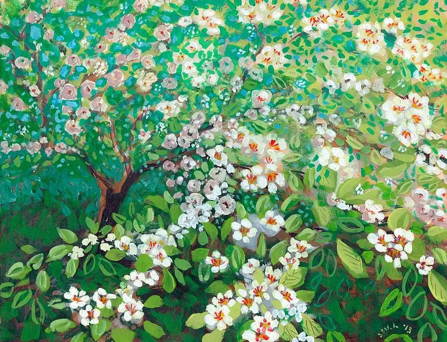 White Cherry Blossom Tree Flower Garden