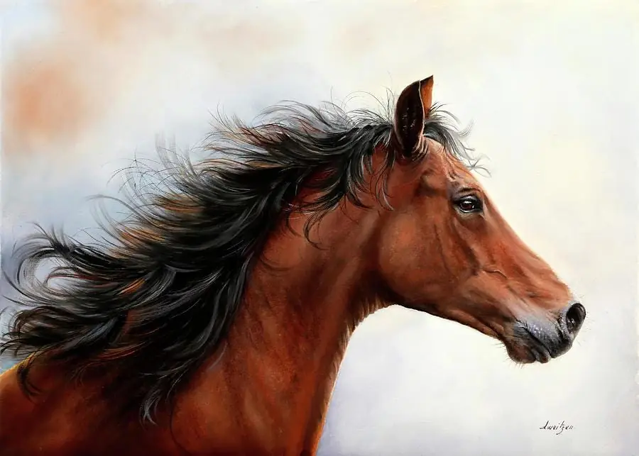 Brown Horse Head Profile Farm Animals
