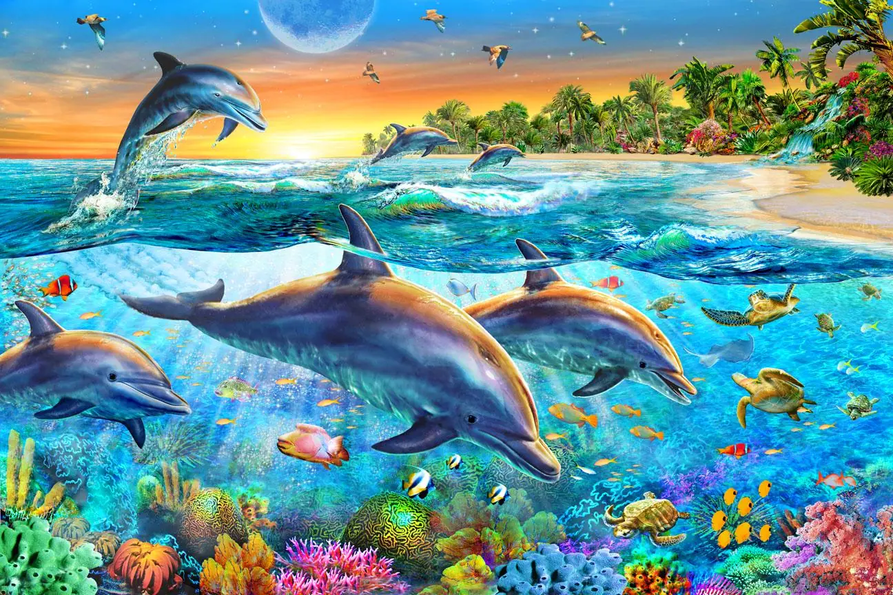 Dolphin-bay, Tropical Fish Island, Seascape, Undersea