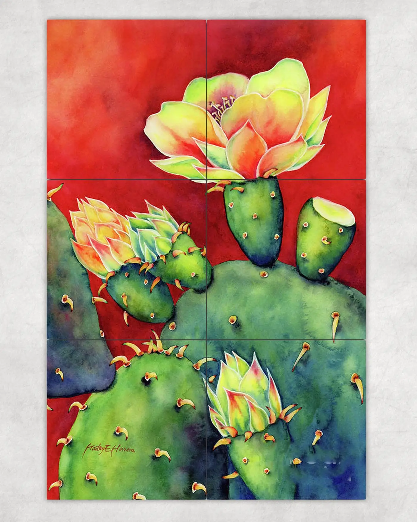 Desert Bloom