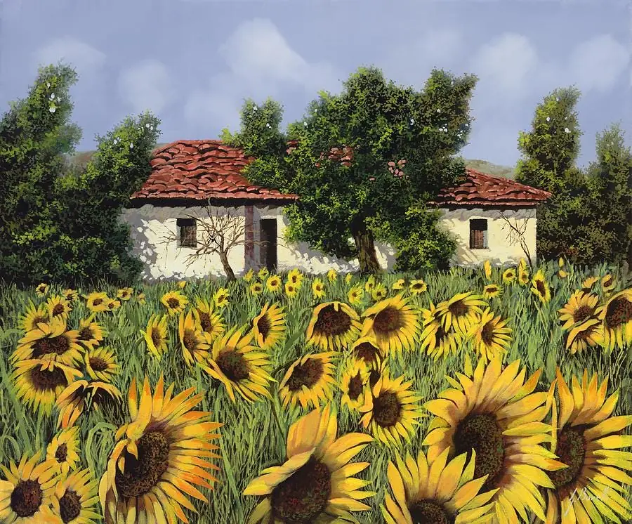 Sunflower Field Garden in Tuscany Italy Countryside Farm