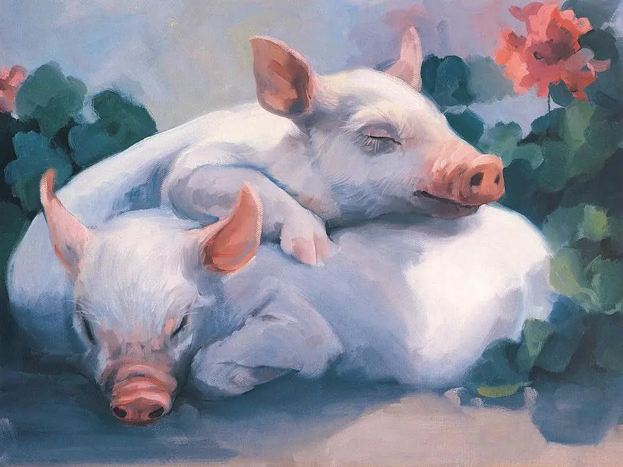 Dream Away Piglets