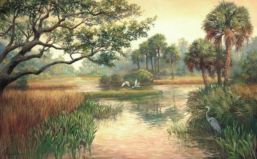 Low Country Morning