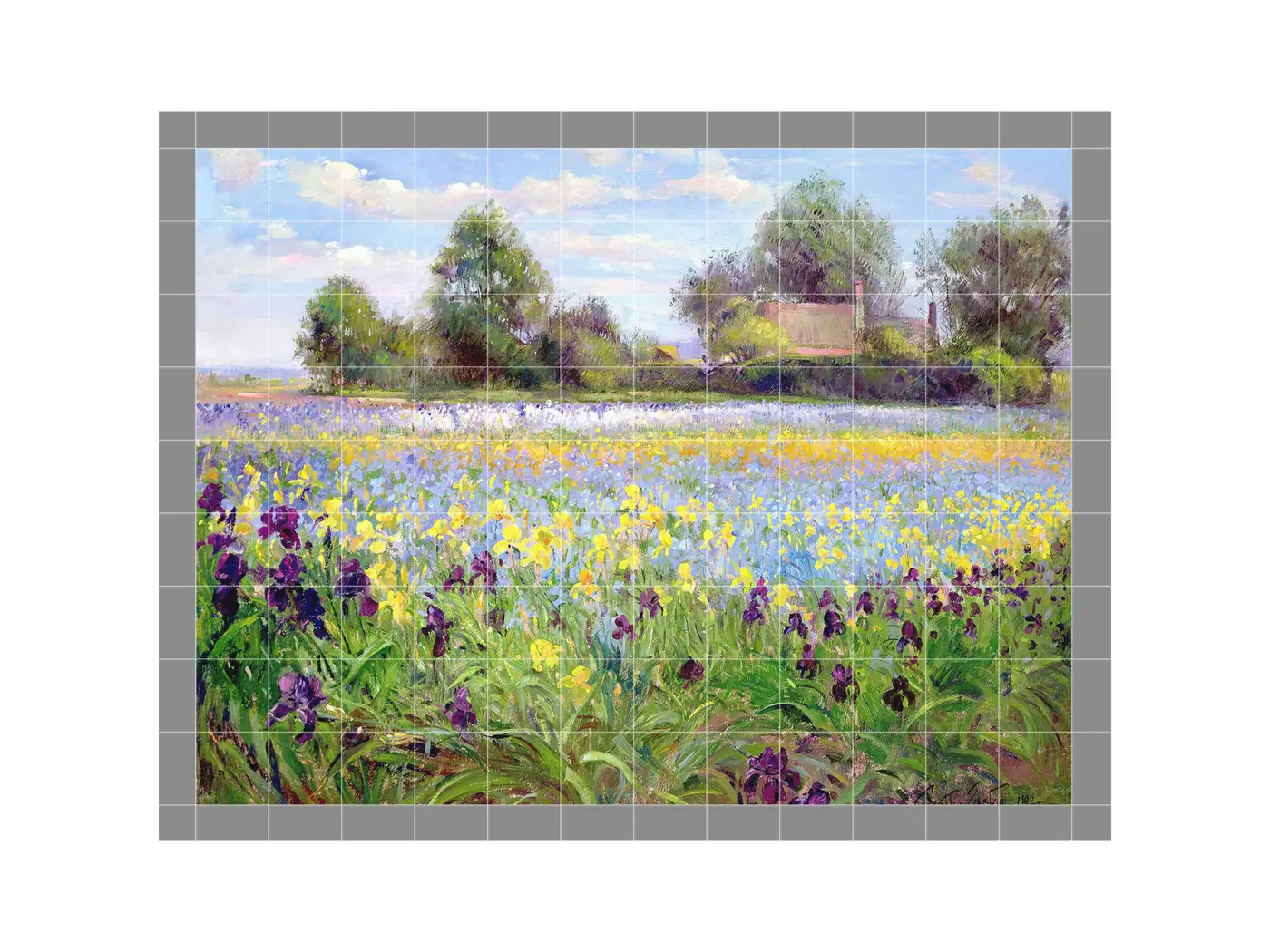 Field of Wildflowers and Iris Farm