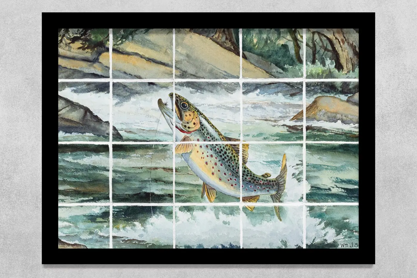 Brown Trout, Fishing