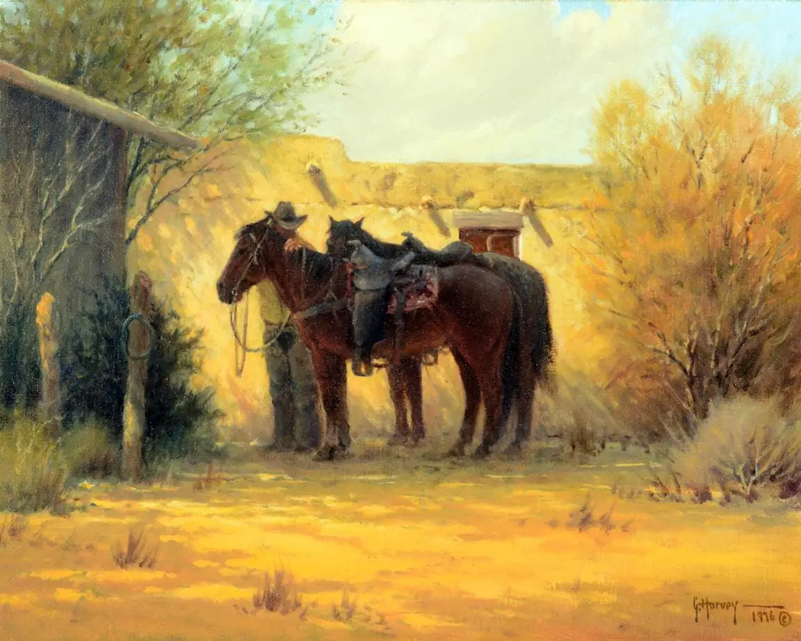 Shadows of Santa Fe