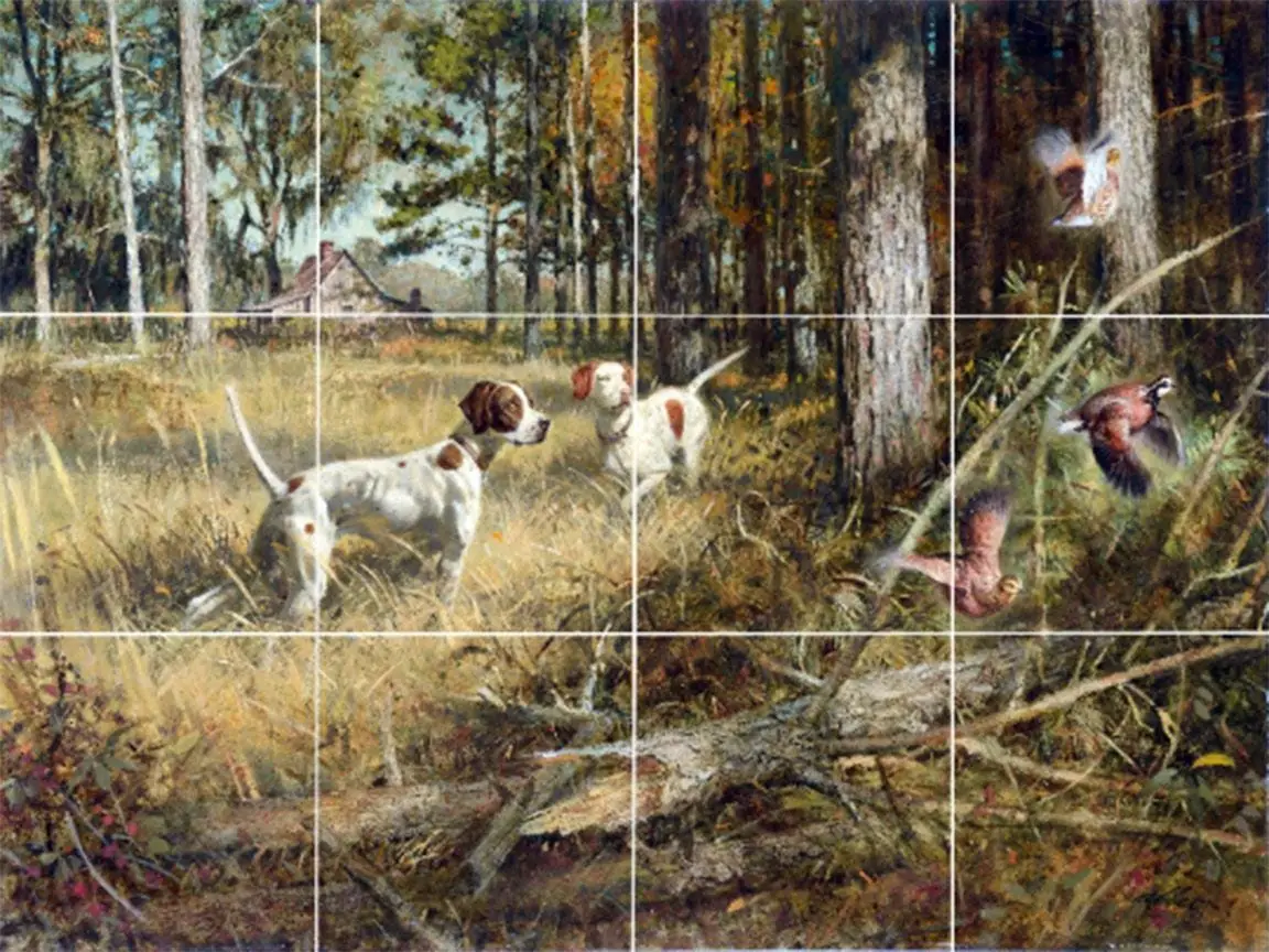 Abbett Windfall Pointers Dogs Quail Bird Hunting