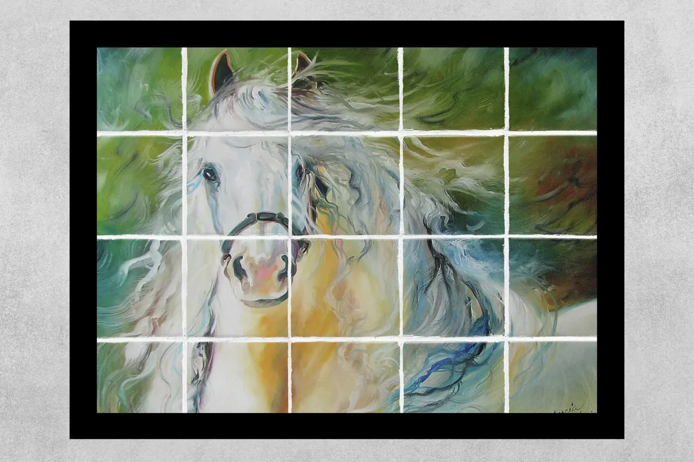 White Cloud the Andalusian Stallion Horse