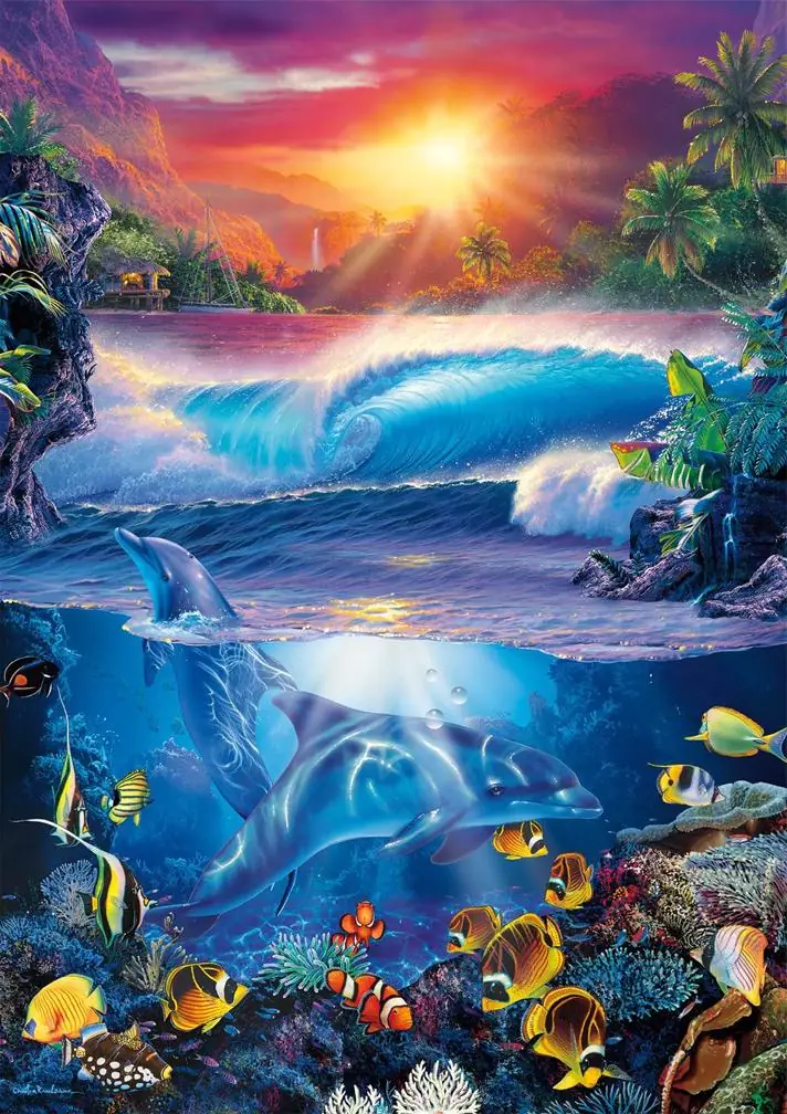 Dolphin, Sunset