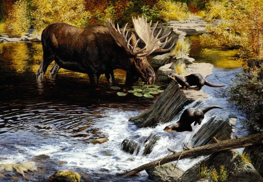 Moose and River Otter