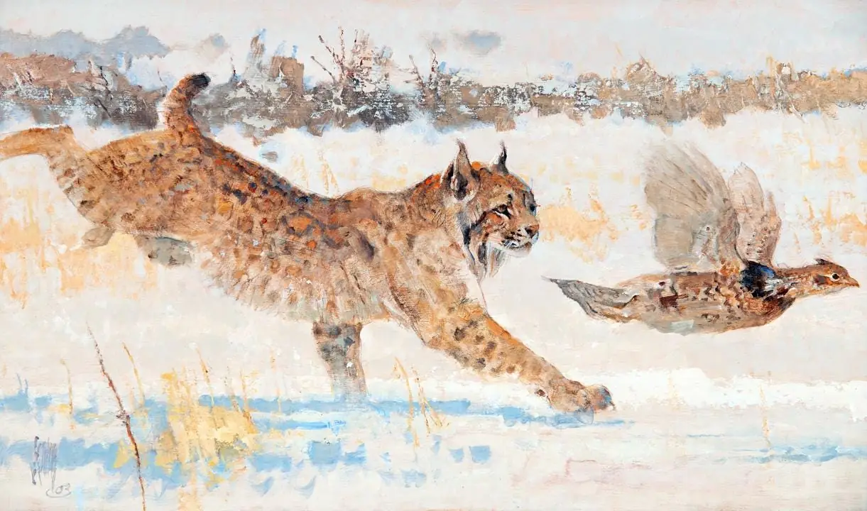 Bobcat and Ruffed Grouse