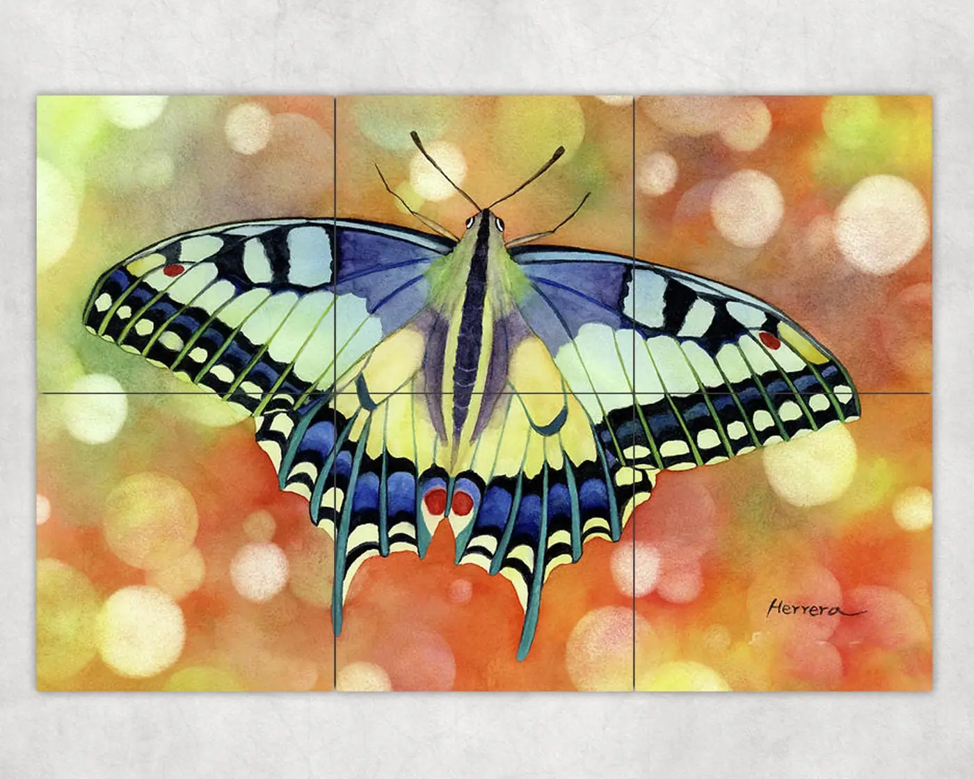 Flutter Away
