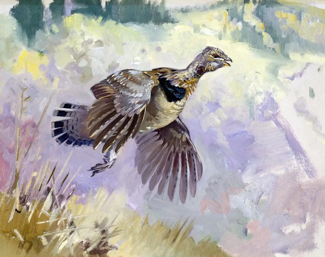 Ruffed Grouse