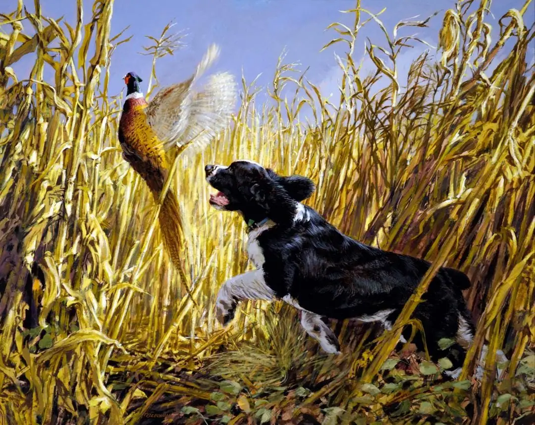 Spaniel and Pheasant