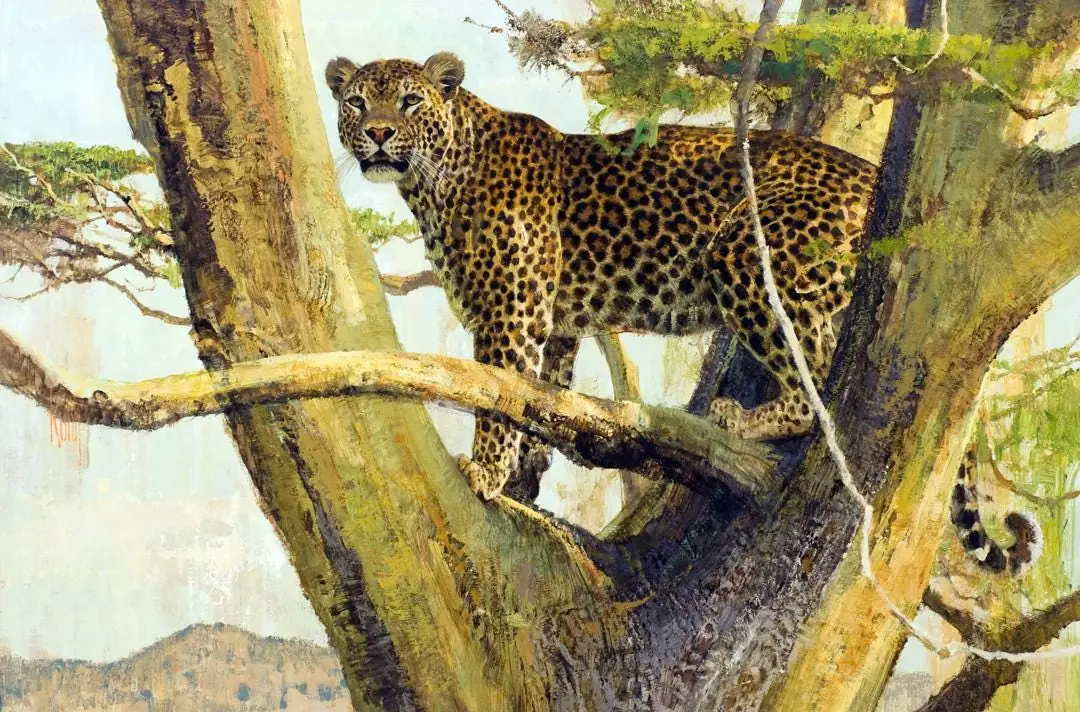 Leopard Above the Plains